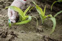 AGRICULTURE-OGM-GP0STOC8L-1920x1280