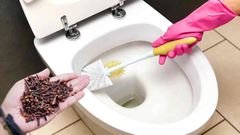 Clou-de-girofle-et-toilette