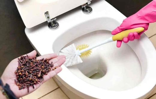 Clou-de-girofle-et-toilette