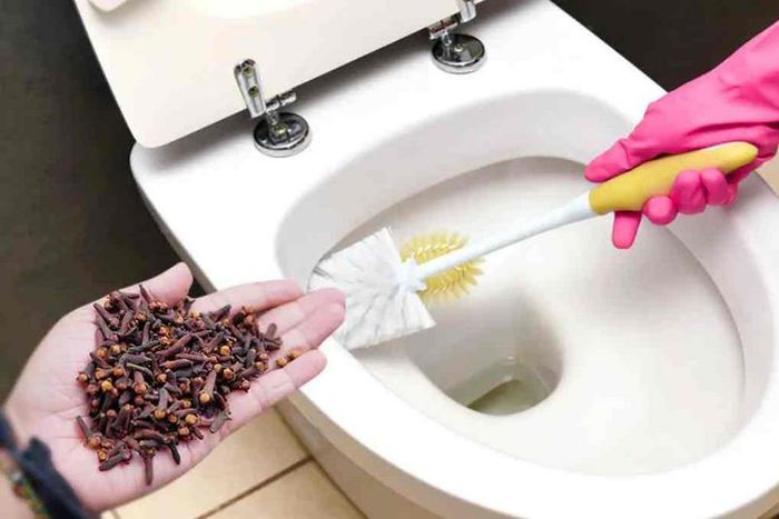 Clou-de-girofle-et-toilette