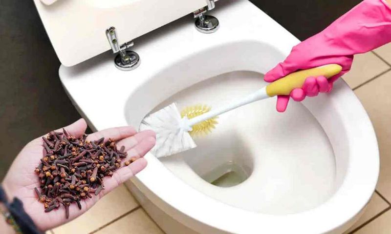 Clou-de-girofle-et-toilette