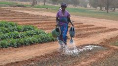 agricultrice
