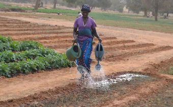 agricultrice
