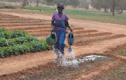 agricultrice