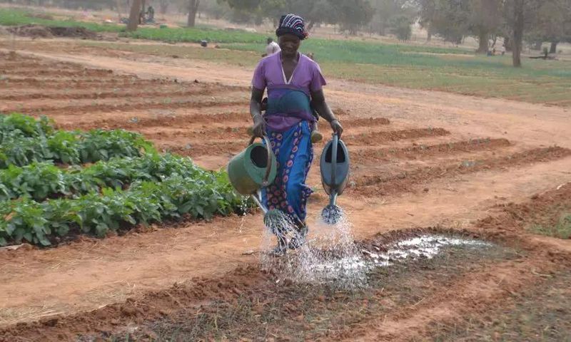 agricultrice