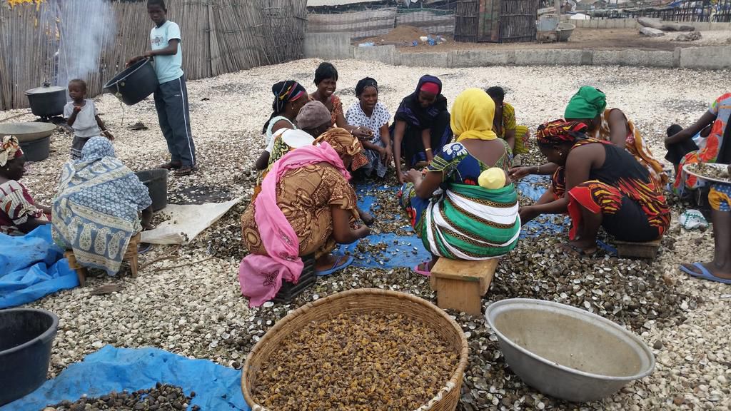 Shellfish-transformation-by-women-members-of-the-Niodor-Economic-Groups-Federation--scaled