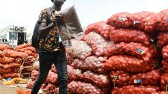 Commercialisation de l'oignon au Sénégal