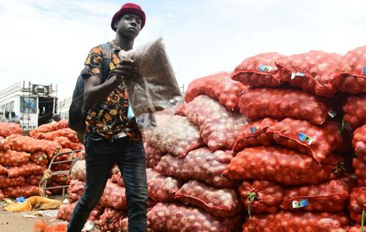 Commercialisation de l'oignon au Sénégal