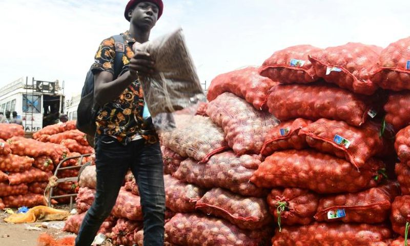 Commercialisation de l'oignon au Sénégal