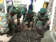Tamba  Le Directeur des Eaux et Forêts en tournée Pépinière régionale XËYU NDAW ÑI Colonel Major Baïdy Bâ