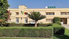 Saed