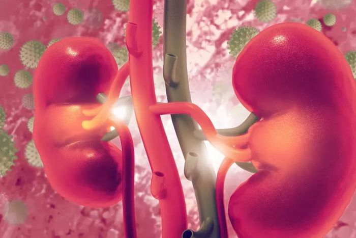 Insuffisance rénale