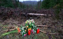 Des fleurs et des bougies ont été déposées ce 14 mars 2023 à l'endroit où le corps de la jeune Luise, 12 ans, a été retrouvé. Ses deux camades de 12 et 13 ans ont avoué l'avoir tué à coups de couteau, dans une forêt près de Freudenberg, en Rhénanie du Nord-Westphalie, Allemagne. Photo : Roberto Pfeil /dpa - Icon sport