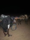 Me Ngagne Demba Touré refugié au Mali
