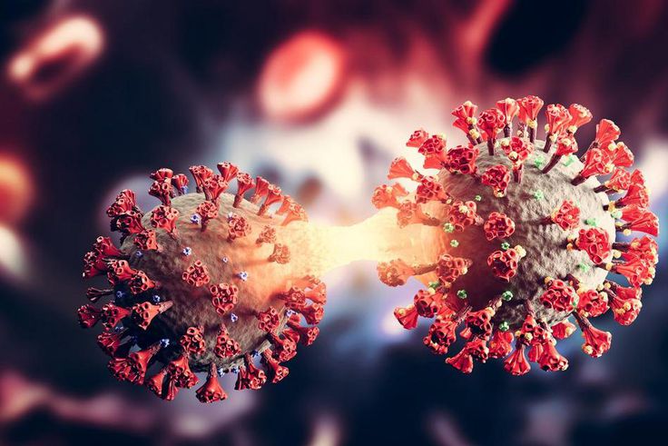 COPY istock-1336071300-1716703569