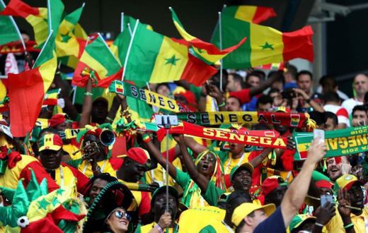 Supporters des Lions
