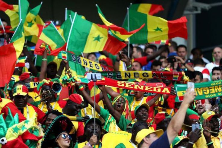 Supporters des Lions