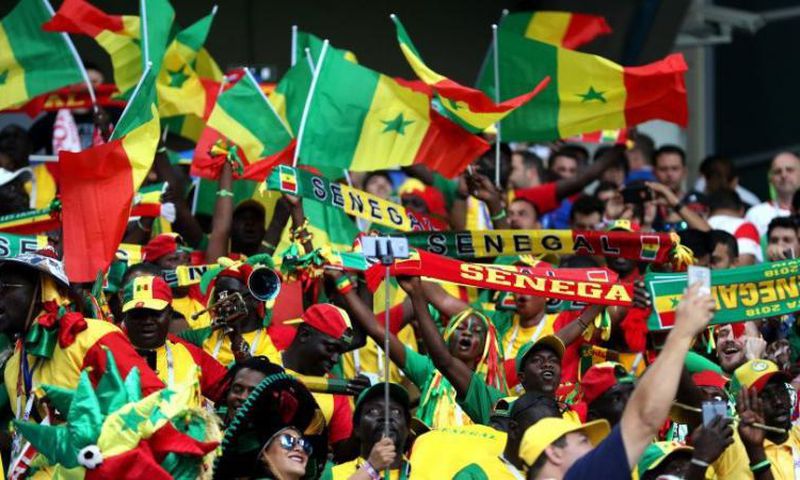 Supporters des Lions