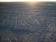Les géoglyphes peuvent également être vus du ciel.