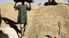 Filière arachidière: 2 milliards Fcfa volés