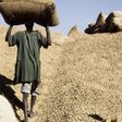 Filière arachidière: 2 milliards Fcfa volés