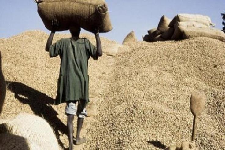 Filière arachidière: 2 milliards Fcfa volés