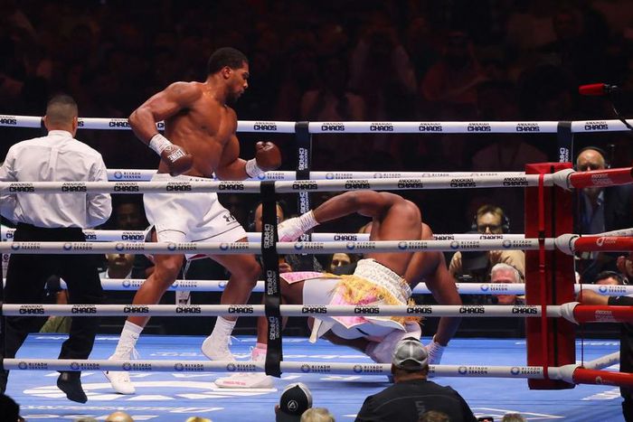 Boxe Les images du kO infligé par Joshua à Ngannou