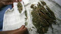 Légalisation-cannabis-Afr-du-Sud-DR-1