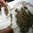 Légalisation-cannabis-Afr-du-Sud-DR-1