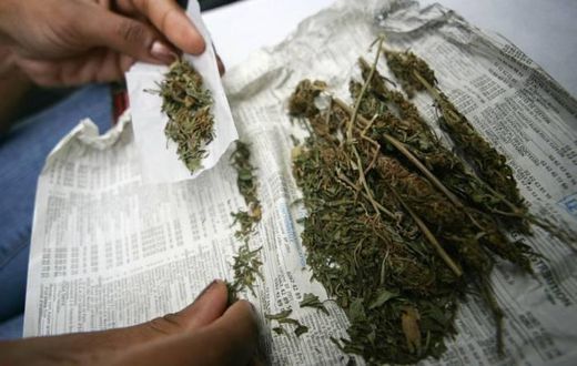 Légalisation-cannabis-Afr-du-Sud-DR-1