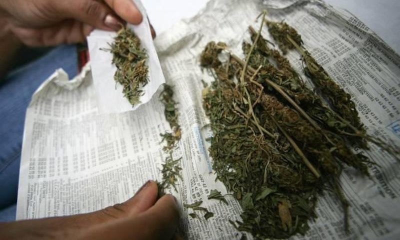 Légalisation-cannabis-Afr-du-Sud-DR-1