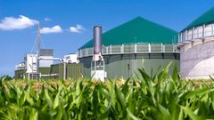 Les institutions internationales misent sur l'hydrogène vert en Afrique.