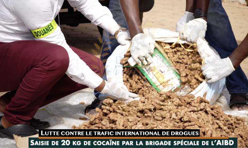 DROGUE