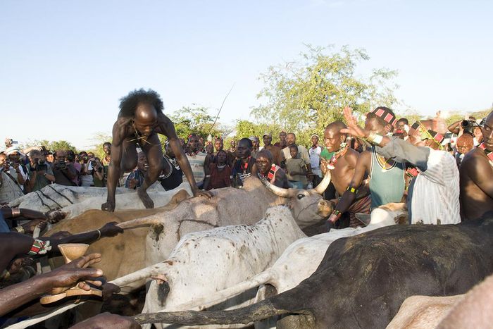 aike-depart-saut-taureau-turmi-ethiopie-HD