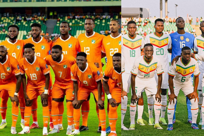 Les Éléphants et les Lions de la Teranga