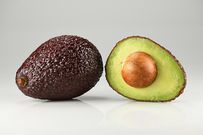 Avocat