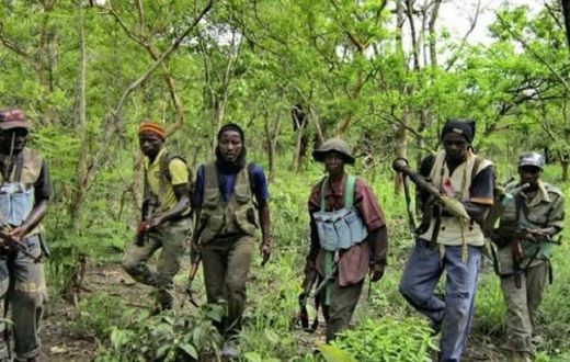 Casamance-Le-MFDC-a-un-nouveau-patron