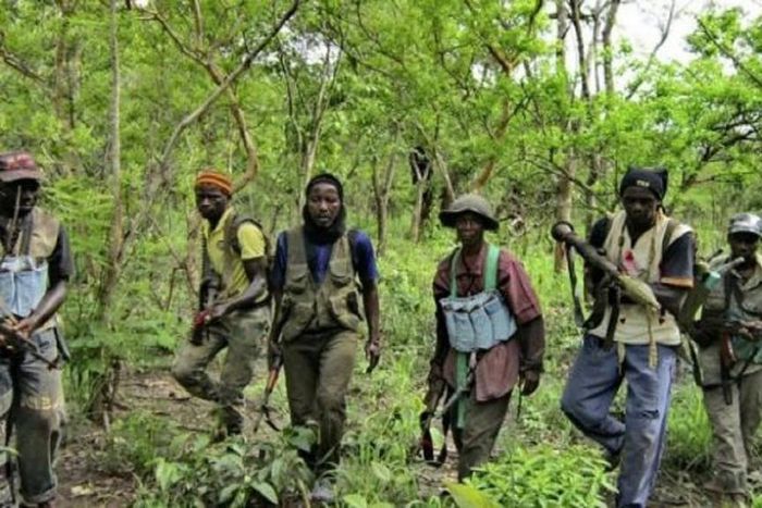 Casamance-Le-MFDC-a-un-nouveau-patron