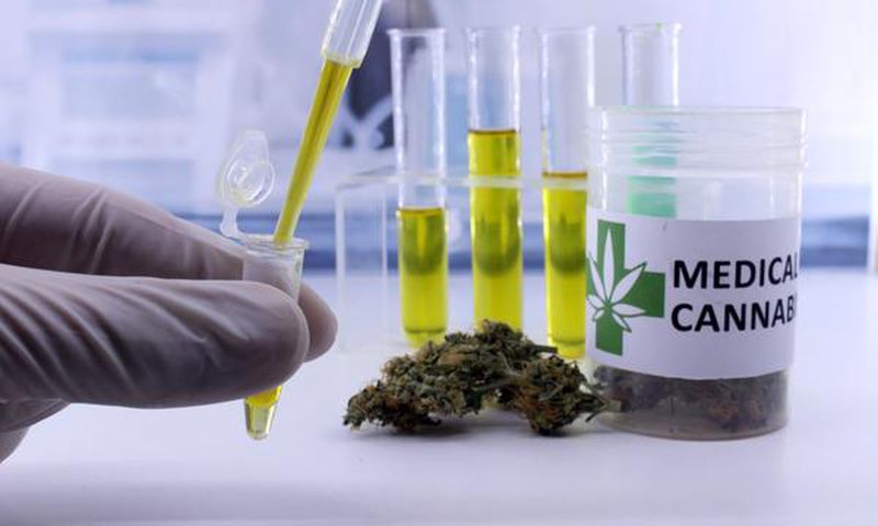cannabis