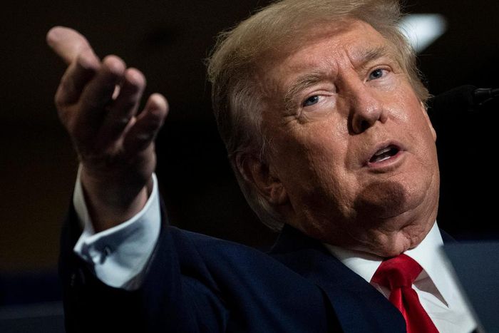 A file photo of Donald Trump.