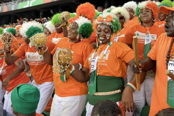 Comité Nationale de Soutien aux Éléphants