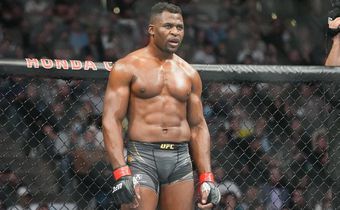 Francis Ngannou a l'embarras du choix depuis son départ de l'UFC Abaca  Icon Sport