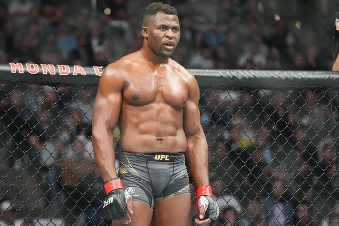 Francis Ngannou a l'embarras du choix depuis son départ de l'UFC Abaca  Icon Sport