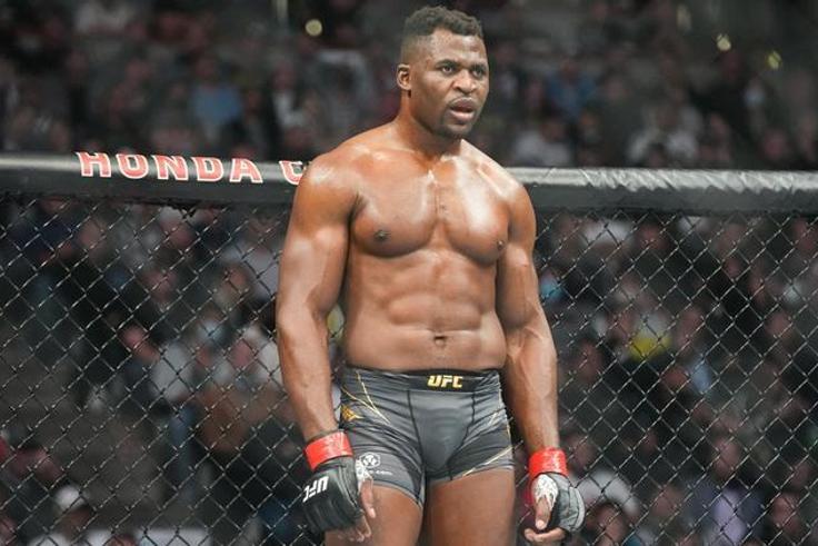 Francis Ngannou a l'embarras du choix depuis son départ de l'UFC Abaca  Icon Sport