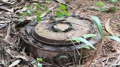 mine-casamance