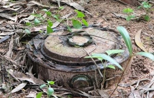 mine-casamance