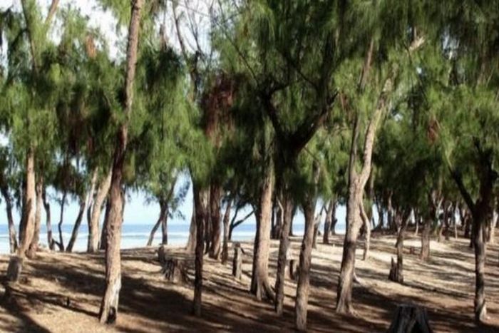 Littoral de Guédiawaye