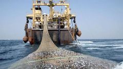 flotte de bateaux de peche