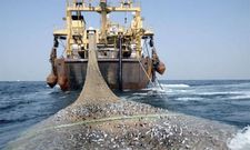 flotte de bateaux de peche