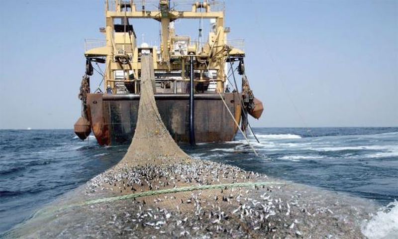 flotte de bateaux de peche